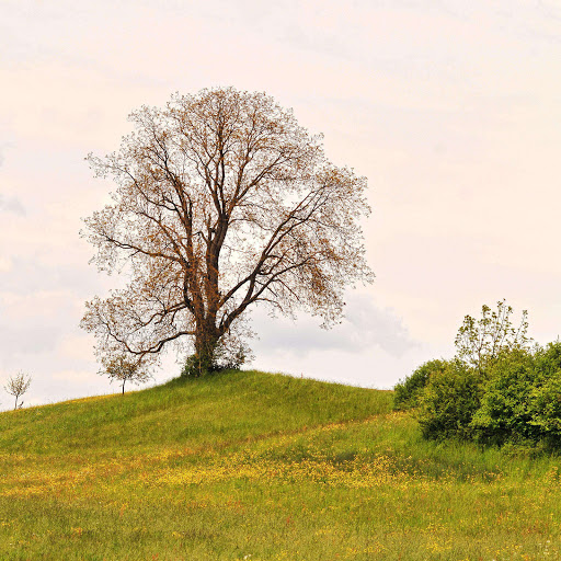 Hd-137912-ascw137912