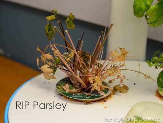 RIP Parsley