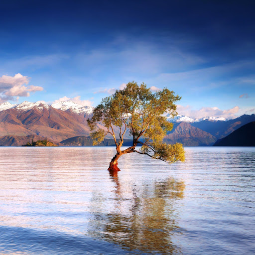 Hd-142725-ascw142725