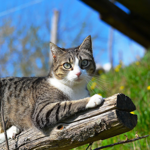 Hd-147510-ascw147510