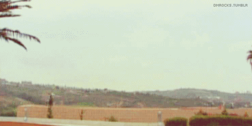 tumblr_ljzhcogwRS1qdteqvo1_500.gif