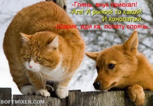 [8b2e2349fa58b73a33490770102_prev%255B5%255D.jpg]