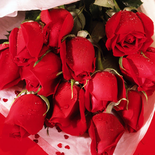 Hd-146710-ascw146710