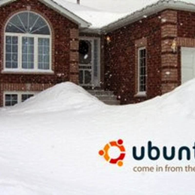Re Ubuntu: i 10 articoli più letti nel mese di Novembre 2013.