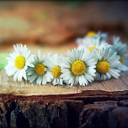 Hd-148415-ascw148415