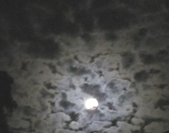 Blue moon full moon 8.31.12