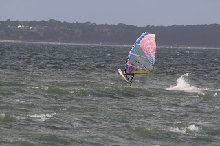 IMG_4533.JPG