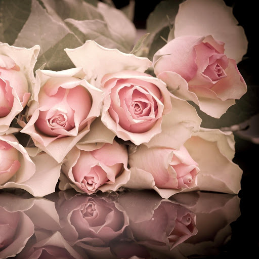 Hd-165788-ascw165788