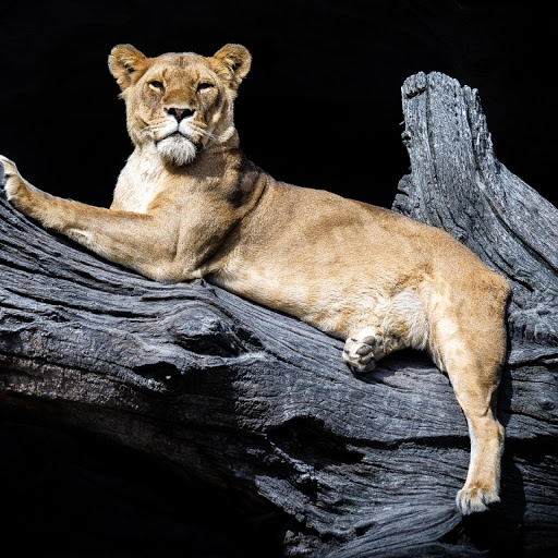 Hd-177255-ascw177255