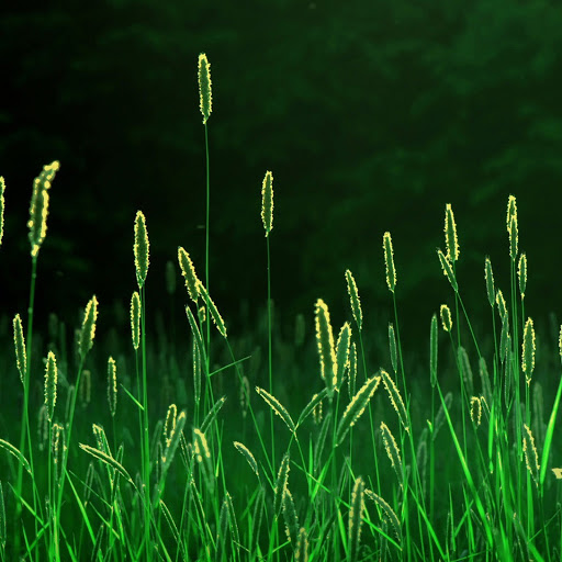 Hd-162993-ascw162993