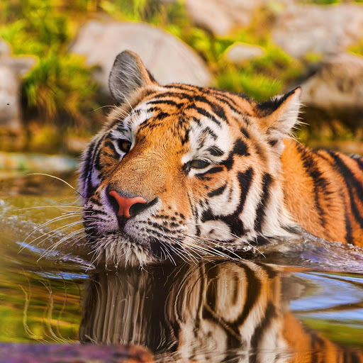 Hd-166029-ascw166029