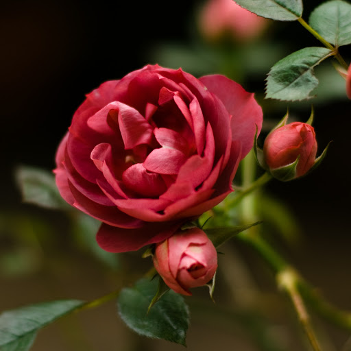 Hd-140599-ascw140599