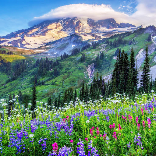 Hd-149058-ascw149058