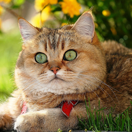 Hd-147413-ascw147413