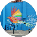 Image Google de Allison Meganck