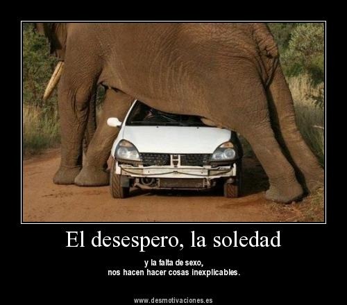 [0%2520tristeza%2520%252850%2529%255B2%255D.jpg]