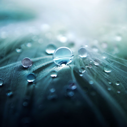 Hd-132845-ascw132845