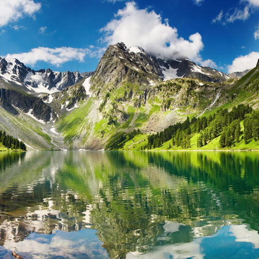 Hd-170298-ascw170298