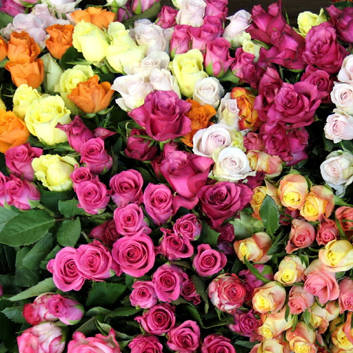 Hd-180212-ascw180212