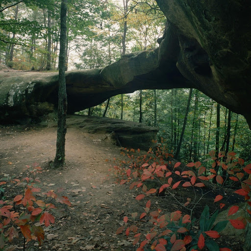 Hd-140122-ascw140122