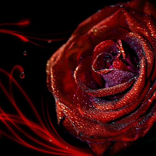 Hd-179597-ascw179597