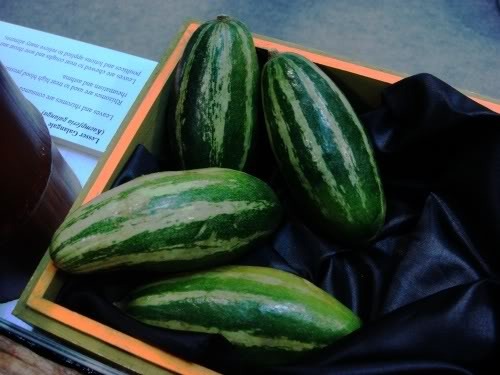 [Trichosanthes%2520dioica%255B4%255D.jpg]