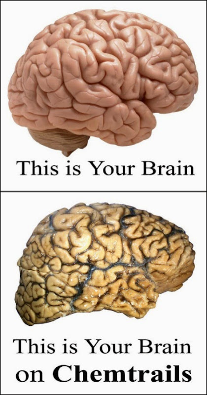 this-is-your-brain-on-chemtrails-sm.jpg This is your brain on chemtrails sm