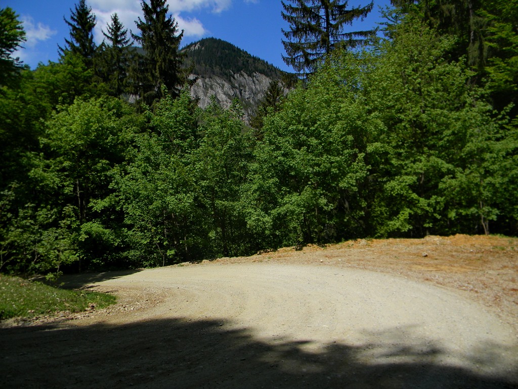 [DSCN86693.jpg]
