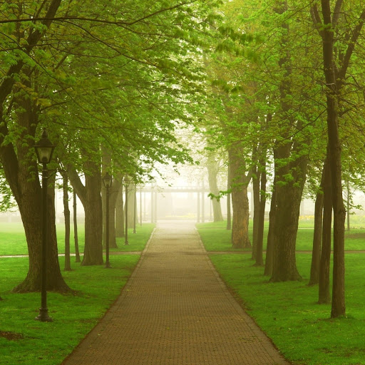 Hd-132083-ascw132083