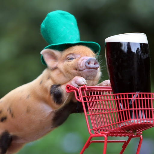 Hd-164443-ascw164443