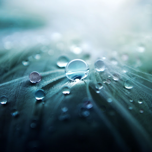 Hd-164434-ascw164434