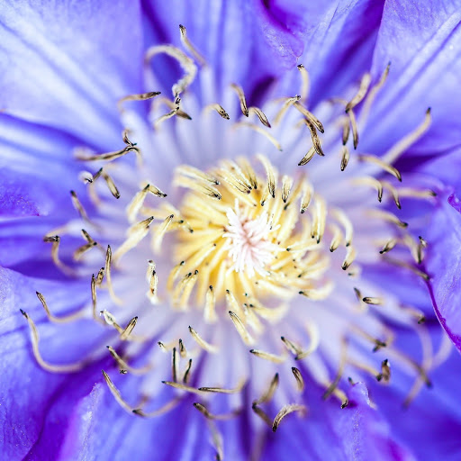 Hd-163719-ascw163719