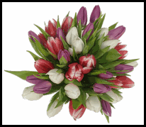 Tulipanes-en-tu-ramo-de-novia