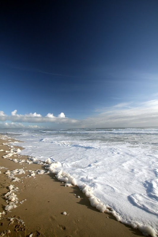 Karamea beach