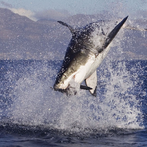 Hd-167603-ascw167603