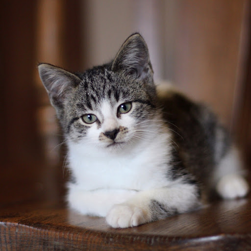 Hd-180640-ascw180640