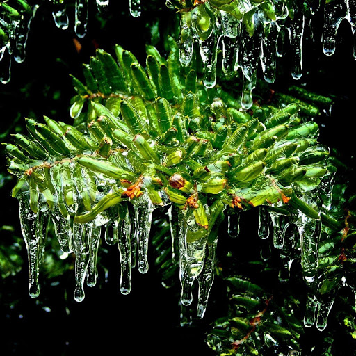 Hd-133784-ascw133784