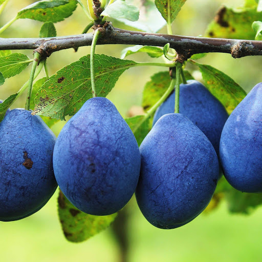 Hd-152576-ascw152576