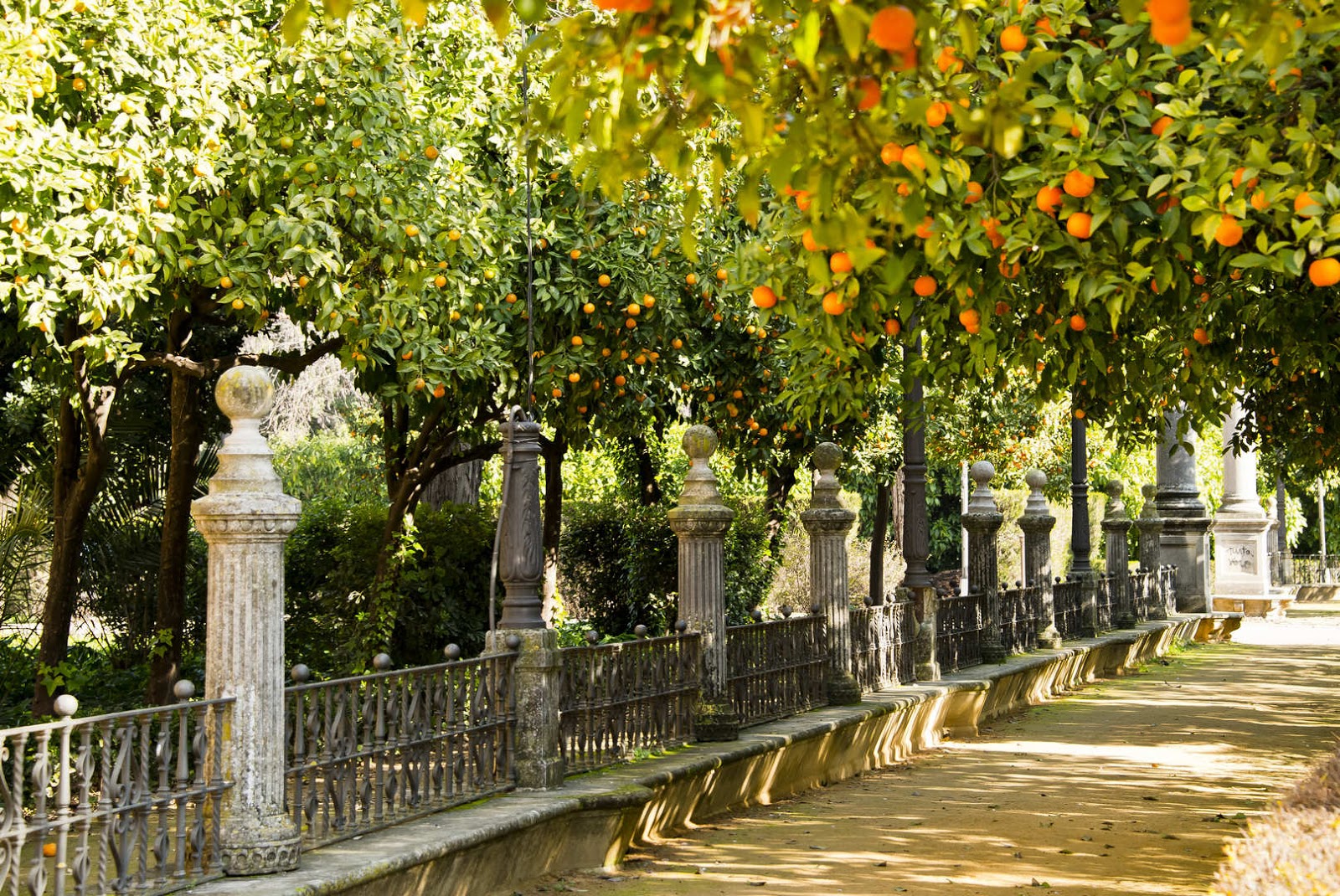 arrovilla Parque Maria Luisa de Sevilla
