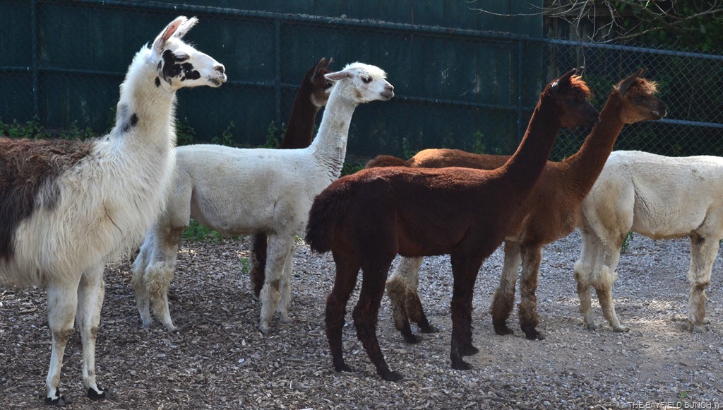 [DSC_0028%255B3%255D.jpg]