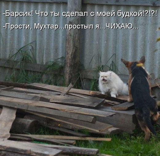 [51054661_1257962302_372055%255B3%255D.jpg]