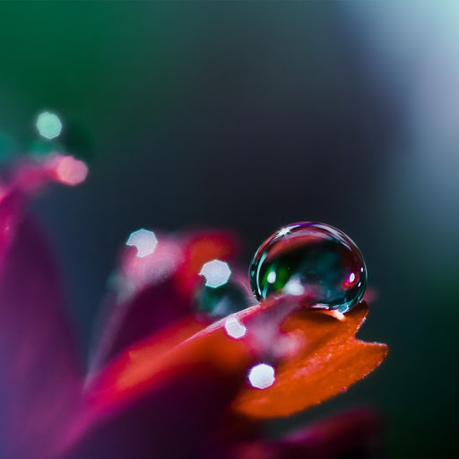 Hd-150961-ascw150961