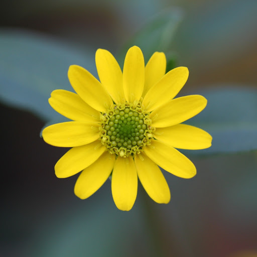 Hd-190521-ascw190521