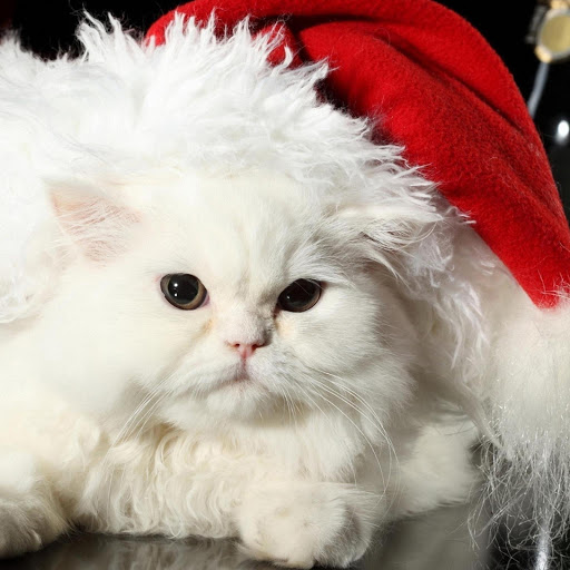 Hd-170916-ascw170916