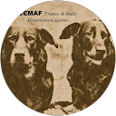 Image Google de SAS JEMAF