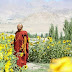 The Role of Sri Lanka in the Growth of Buddhism