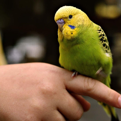 Hd-179060-ascw179060