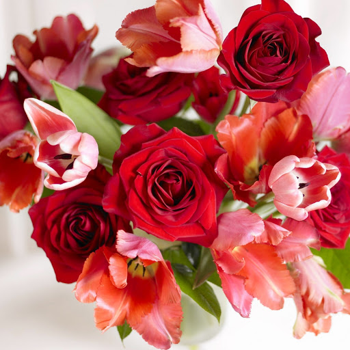 Hd-146296-ascw146296