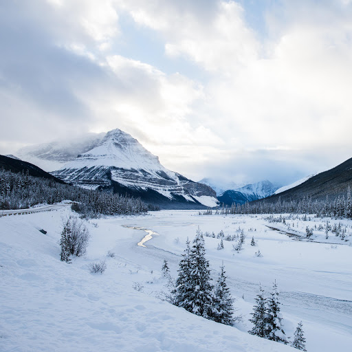 Hd-183007-ascw183007