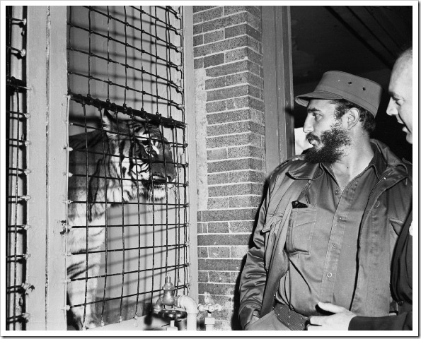 fidel-castro-bronx-zoo-1959 (2)